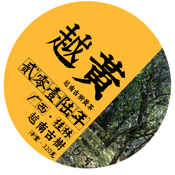 【预售】2016越黄黄茶饼越南古树黄茶原料香醇甘滑320克