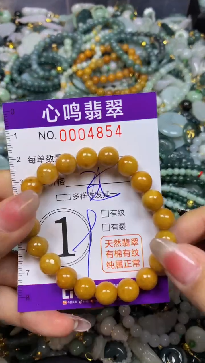 【闪购商品】翡翠颈饰未镶嵌闪购004854