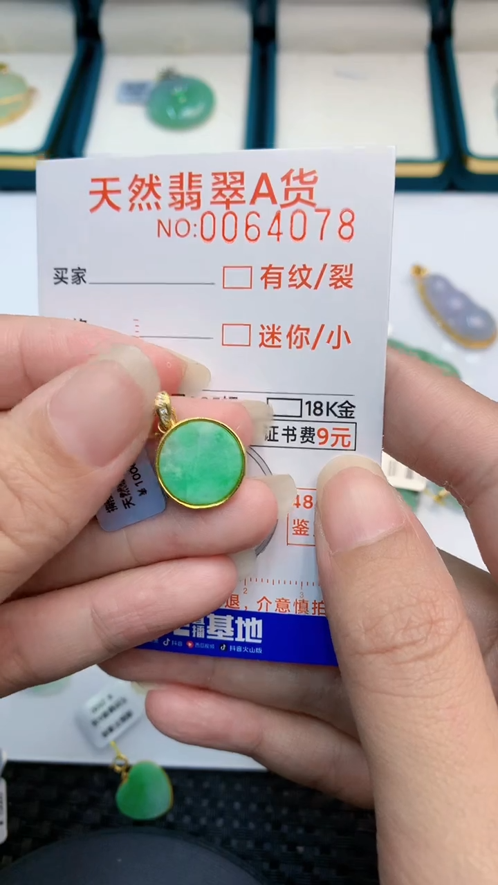 【闪购商品】翡翠颈饰银S925镶嵌            8