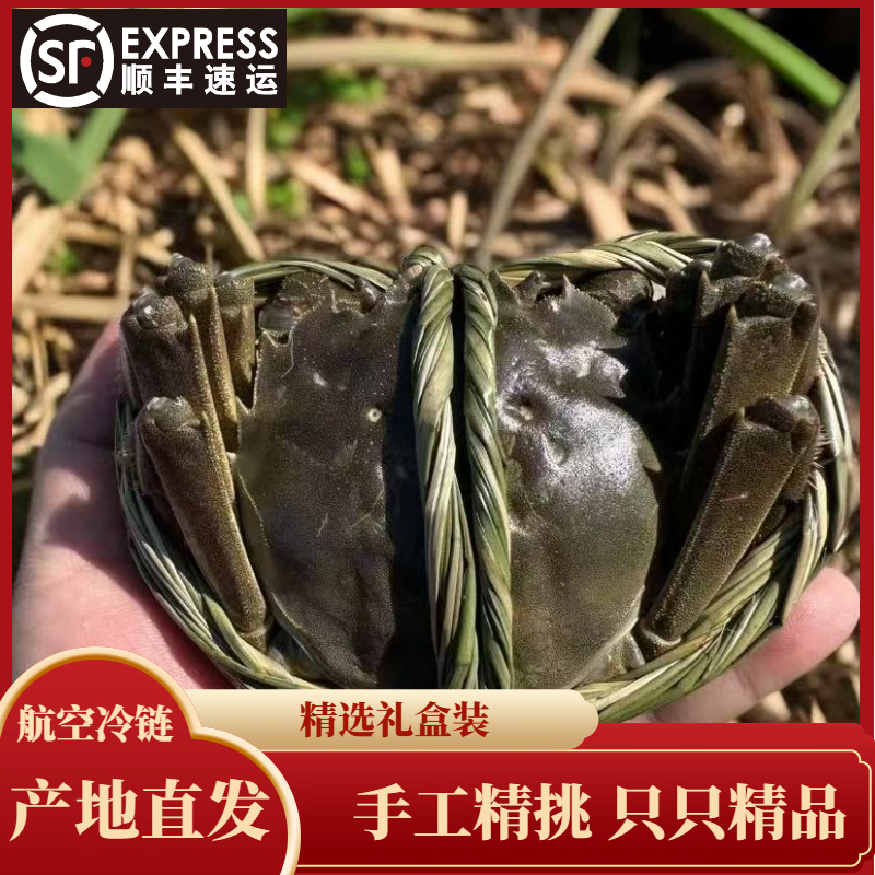 【活蟹】大闸蟹 公母搭配公蟹7.0两母蟹5.0两3对6只装 顺丰直发