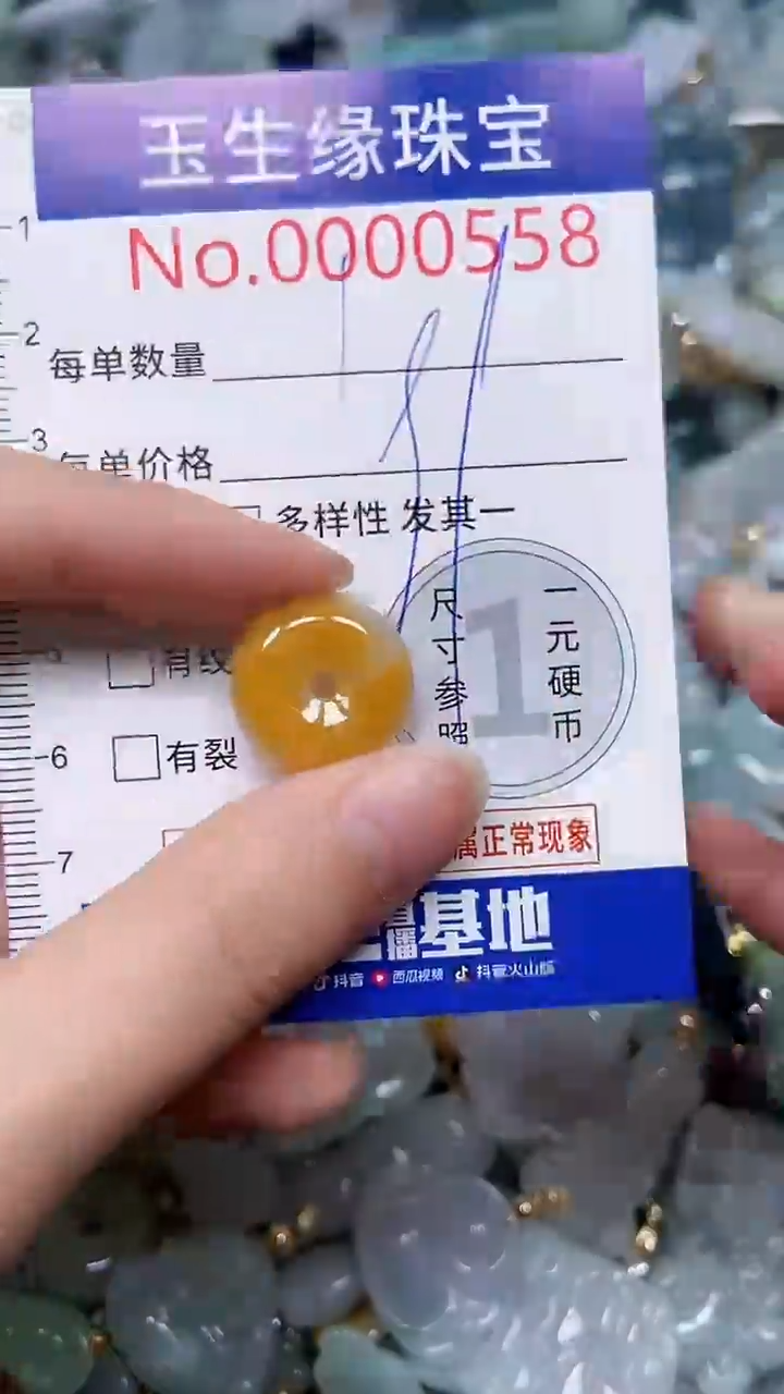 【闪购商品】翡翠颈饰未镶嵌闪购0000558