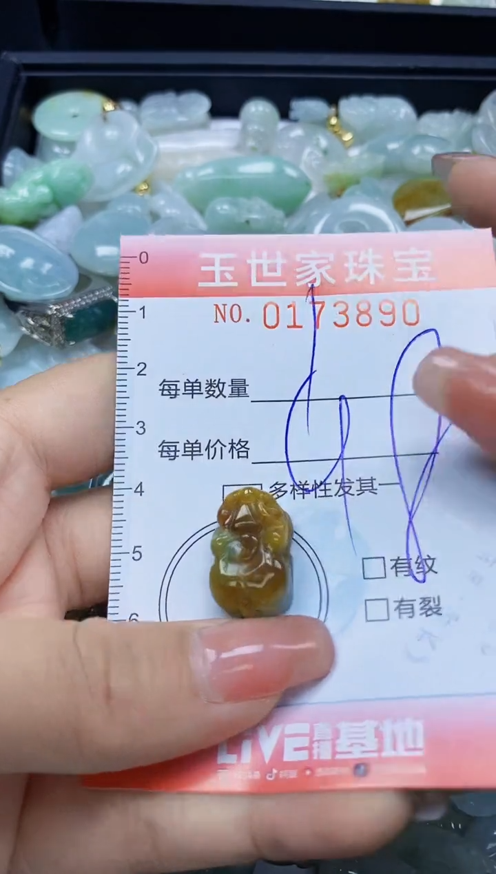 【闪购商品】翡翠颈饰未镶嵌闪购0173890