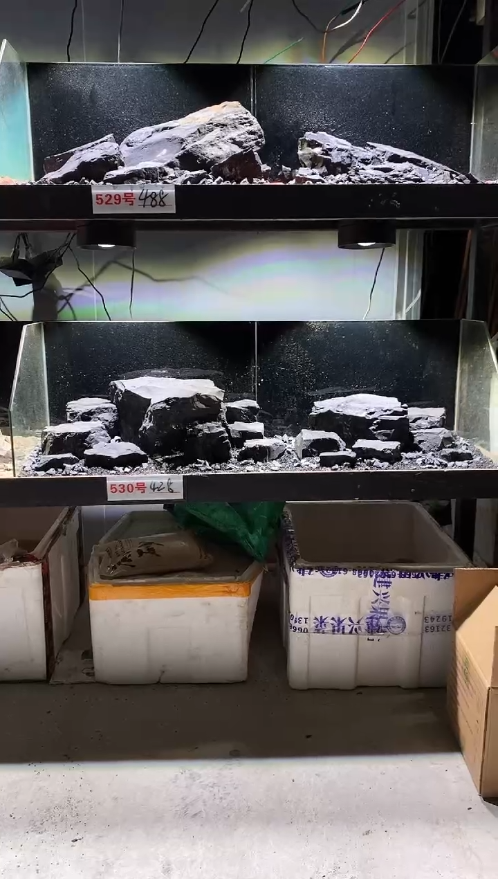 530号鱼缸造景（不含底砂）