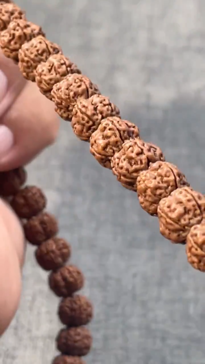 手串金刚菩提原生态梅花长串+礼盒