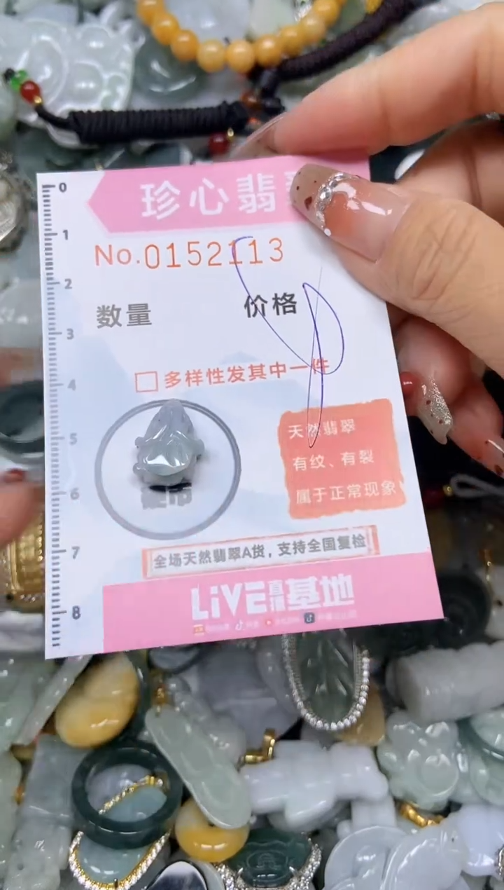 【闪购商品】翡翠颈饰未镶嵌闪购链接0152113