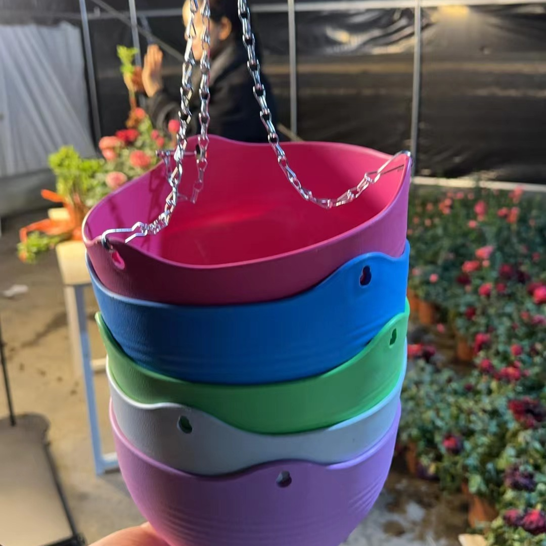 吊兰花盆颜色随机发