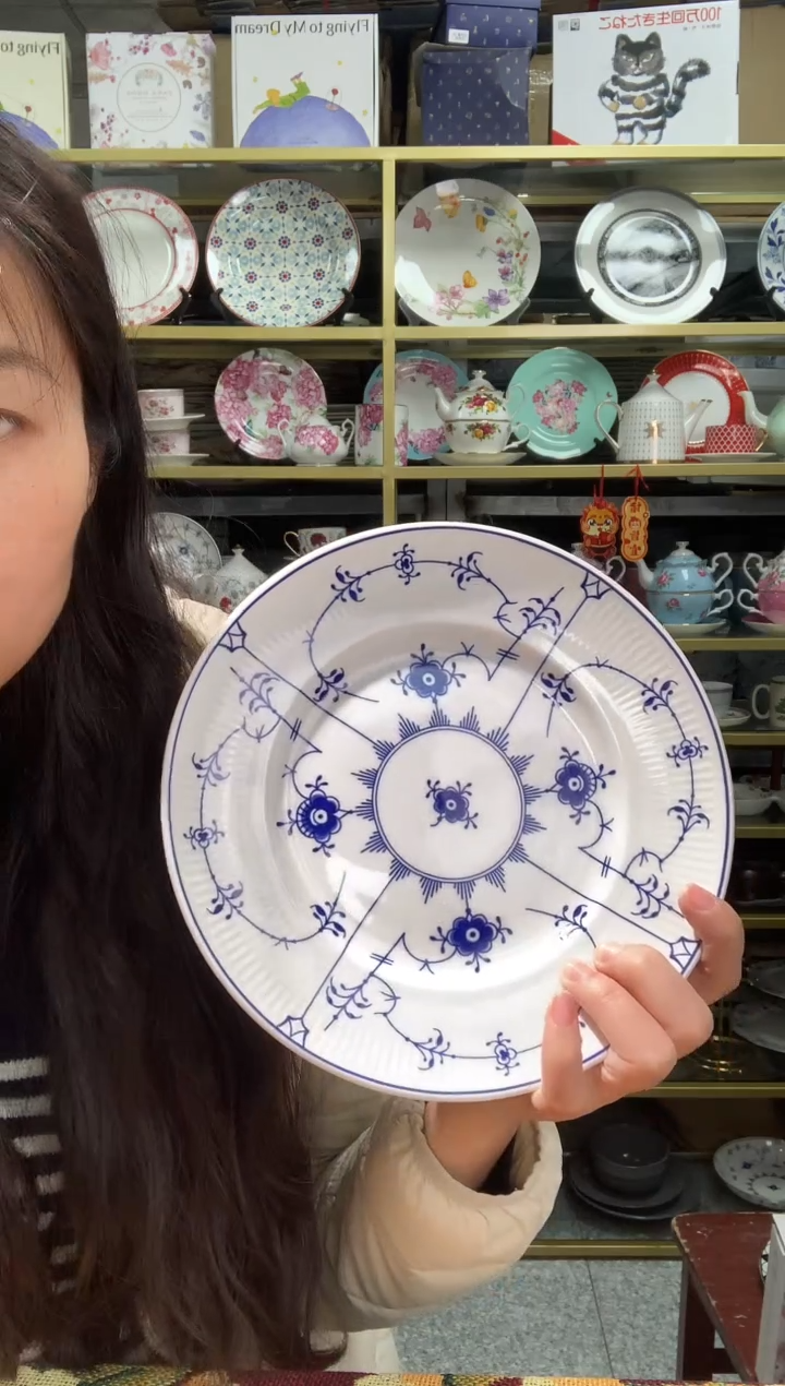 【闪购商品】瓷片陶瓷原单CC672餐具1个8寸