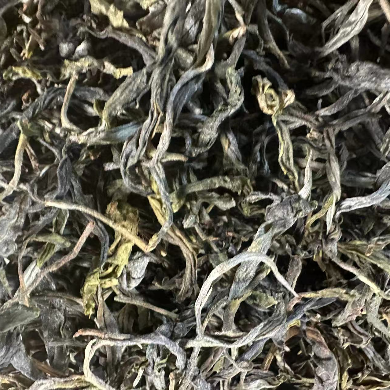 【011】 2024年 黄草林单株古树普洱茶散料100克（生茶）  6月1号