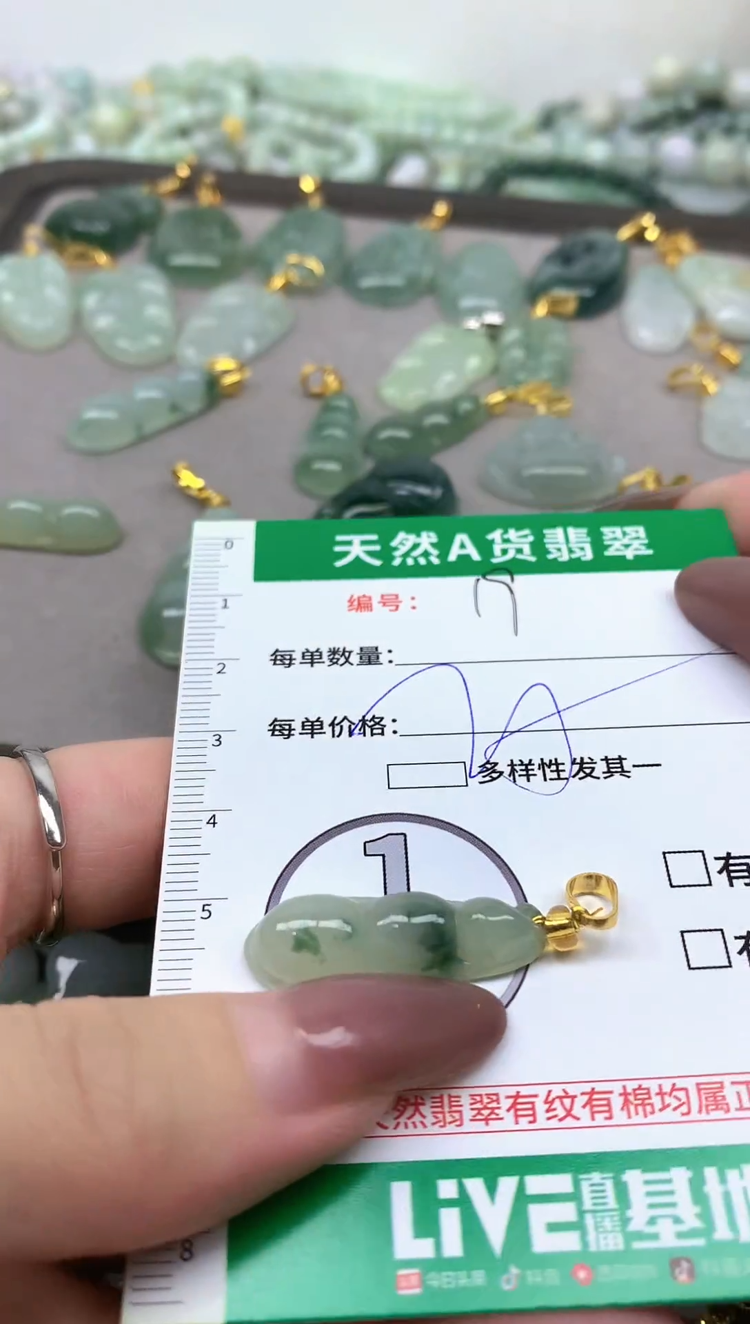 颈饰未镶嵌翡翠纯天然缅甸A货翡翠-19