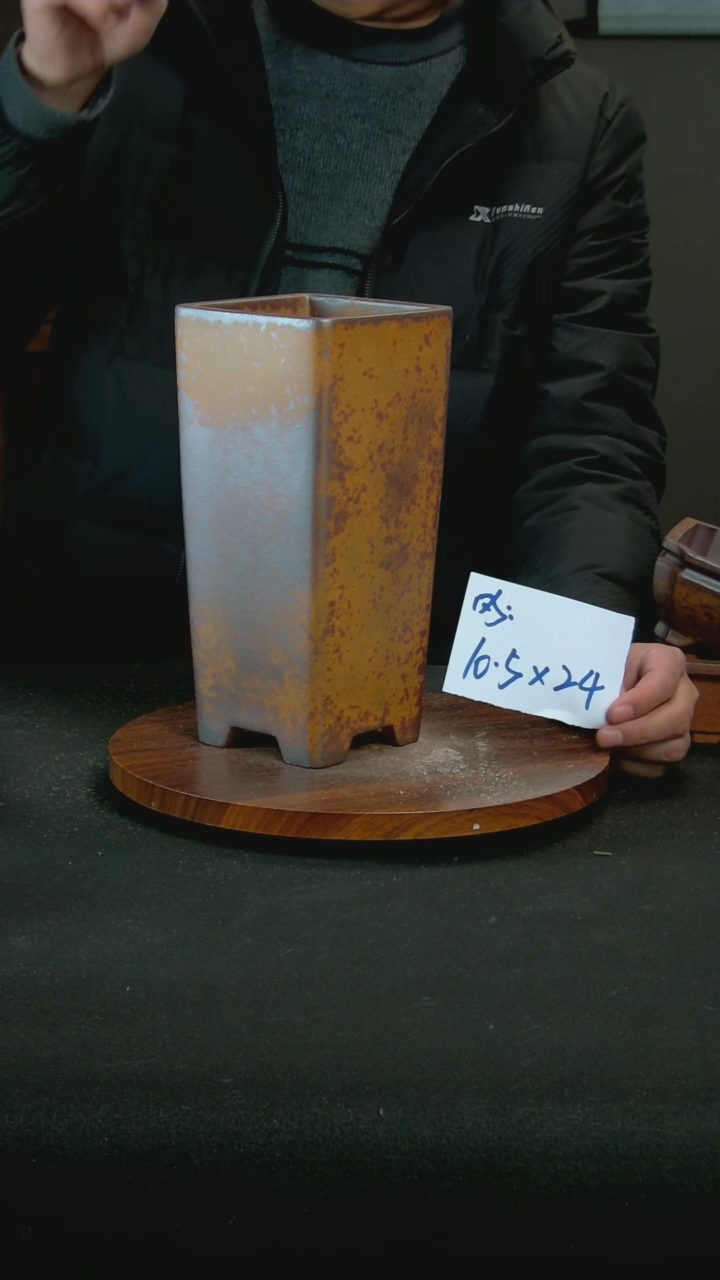 【闪购商品】紫砂P35