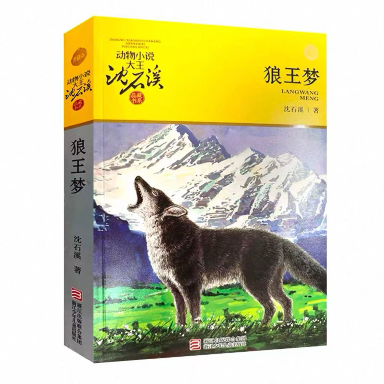 沈石溪动物小说 狼王梦