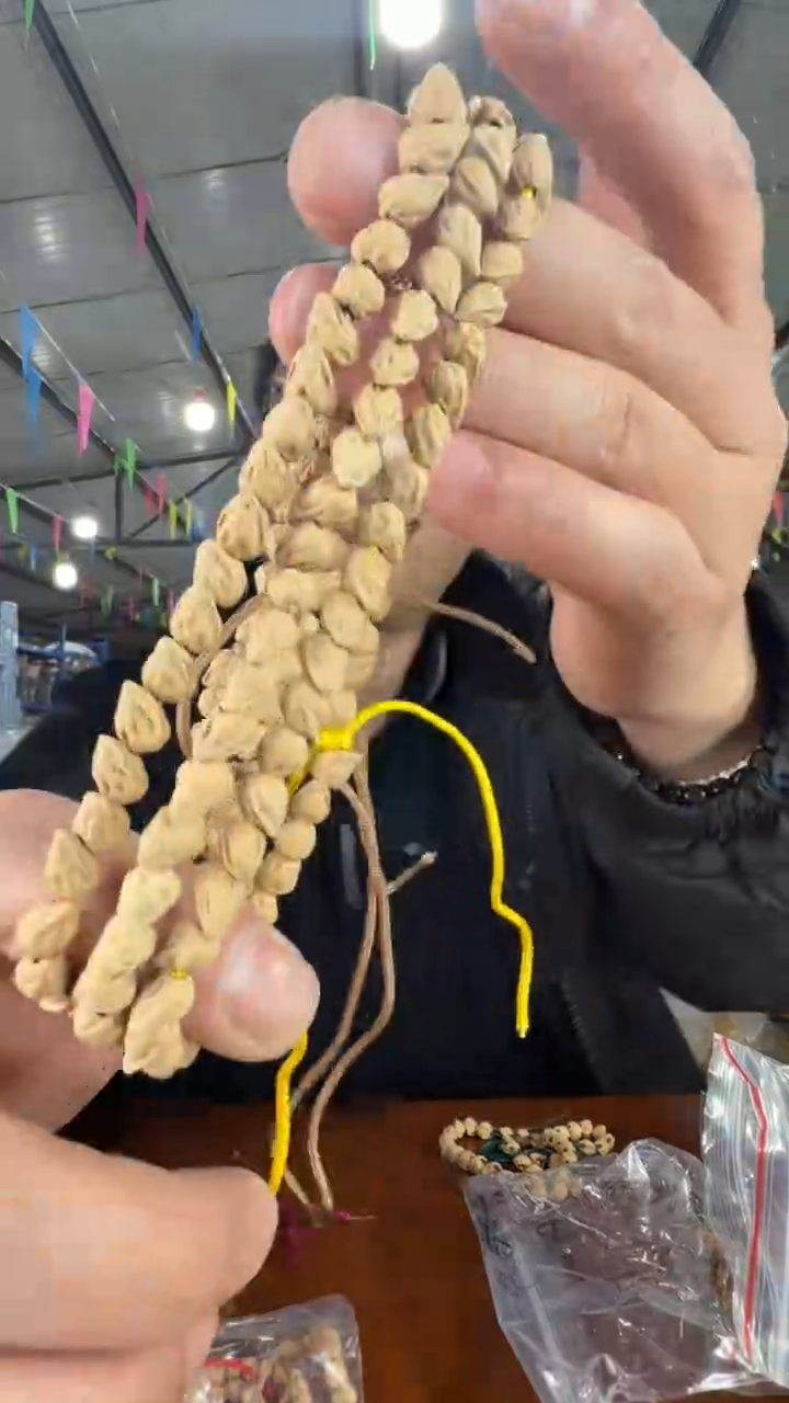 手串柏香籽/百香籽A16 实物为准