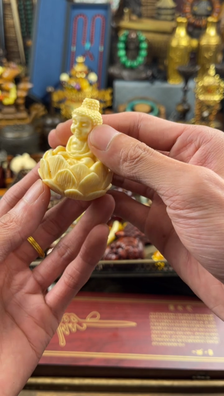 11小七甄选所见及所得