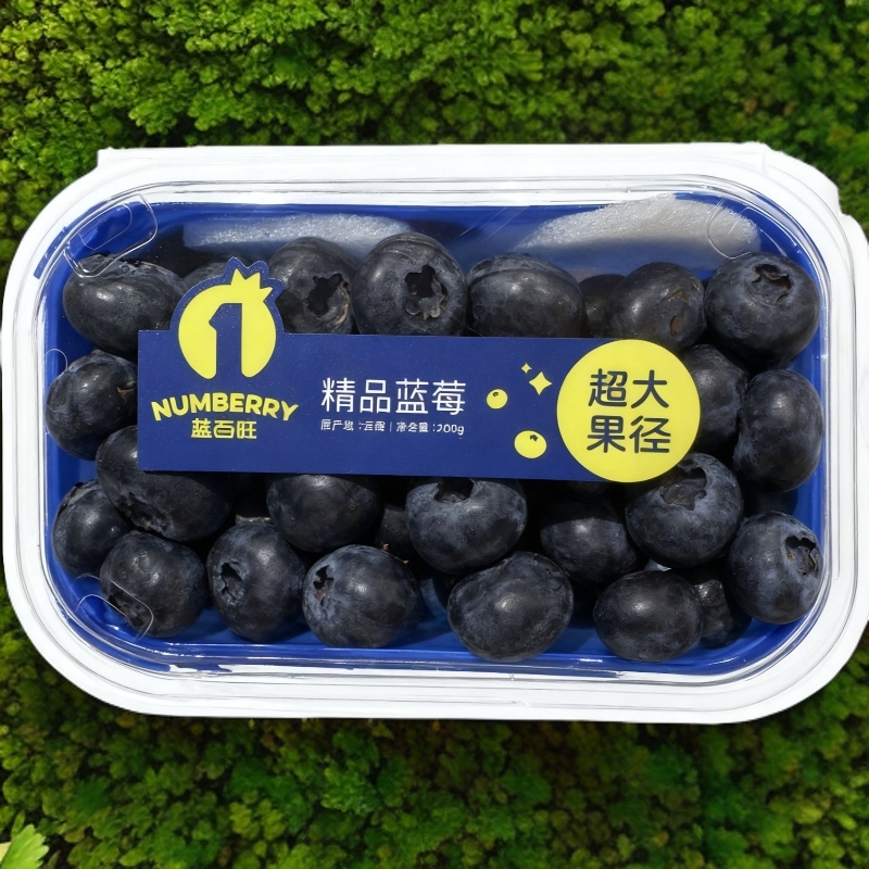 【美一天精品】蓝莓王特大蓝莓  精品/盒云南省