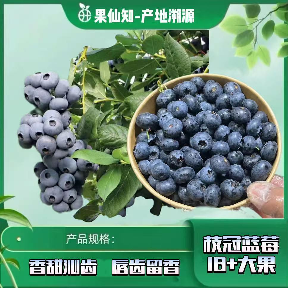 【空运-花香蓝莓水果-14+大果-4盒】