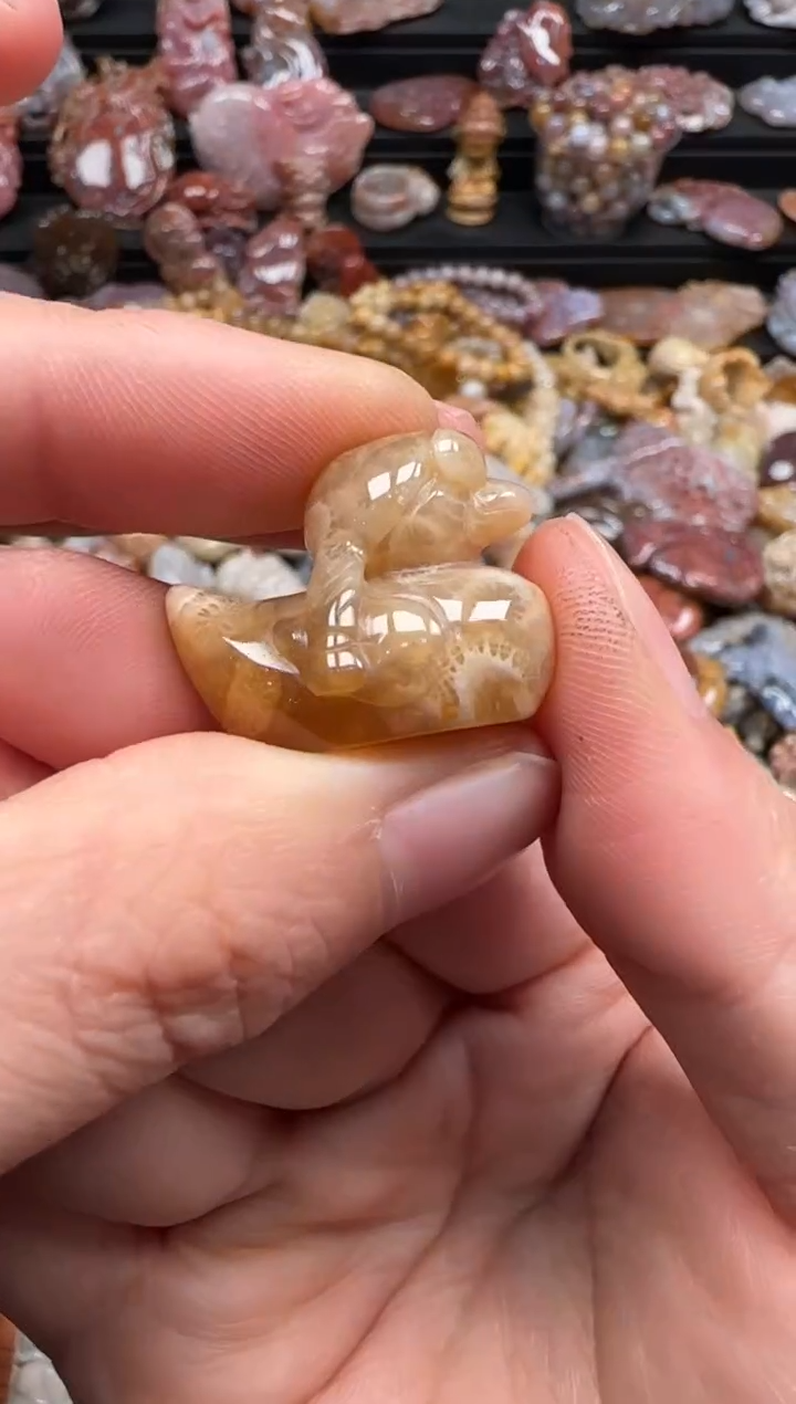 【闪购商品】硅化珊瑚（珊瑚玉）颈饰未镶嵌540