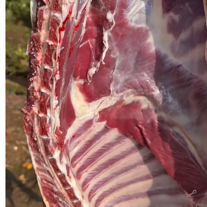 正宗农村散养散放的黑跑山羊肉 现场称重