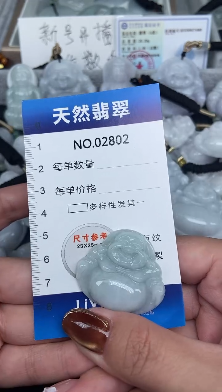 颈饰未镶嵌翡翠纯天然A货翡翠2802