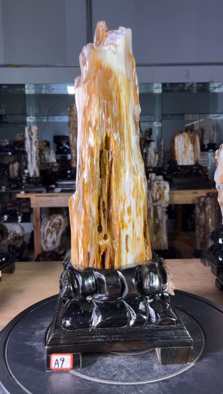 【闪购商品】硅化玉珠宝奇石未镶嵌1