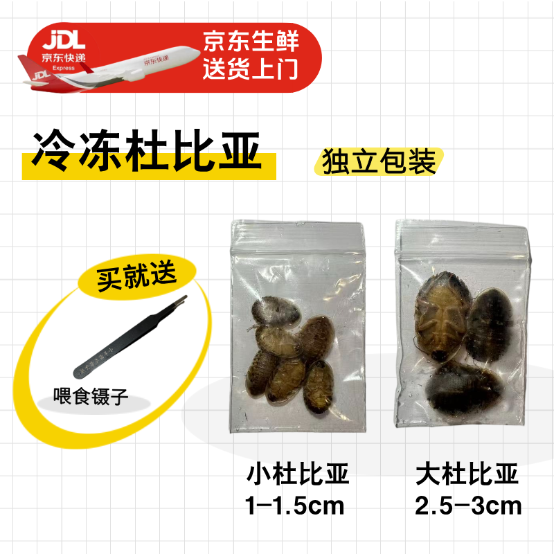 冷冻杜比亚 天然增色 雷龙鱼原生食材 促进鱼只增色增艳 