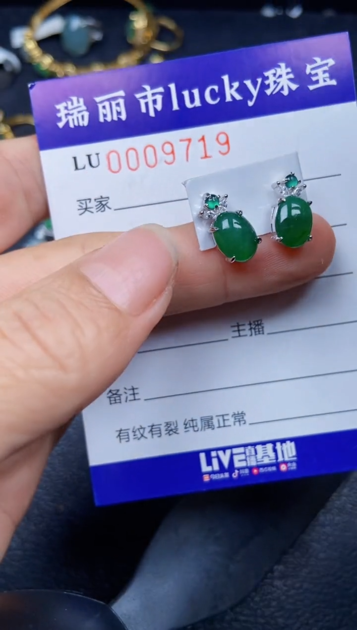 【闪购商品】翡翠颈饰银S925镶嵌9719