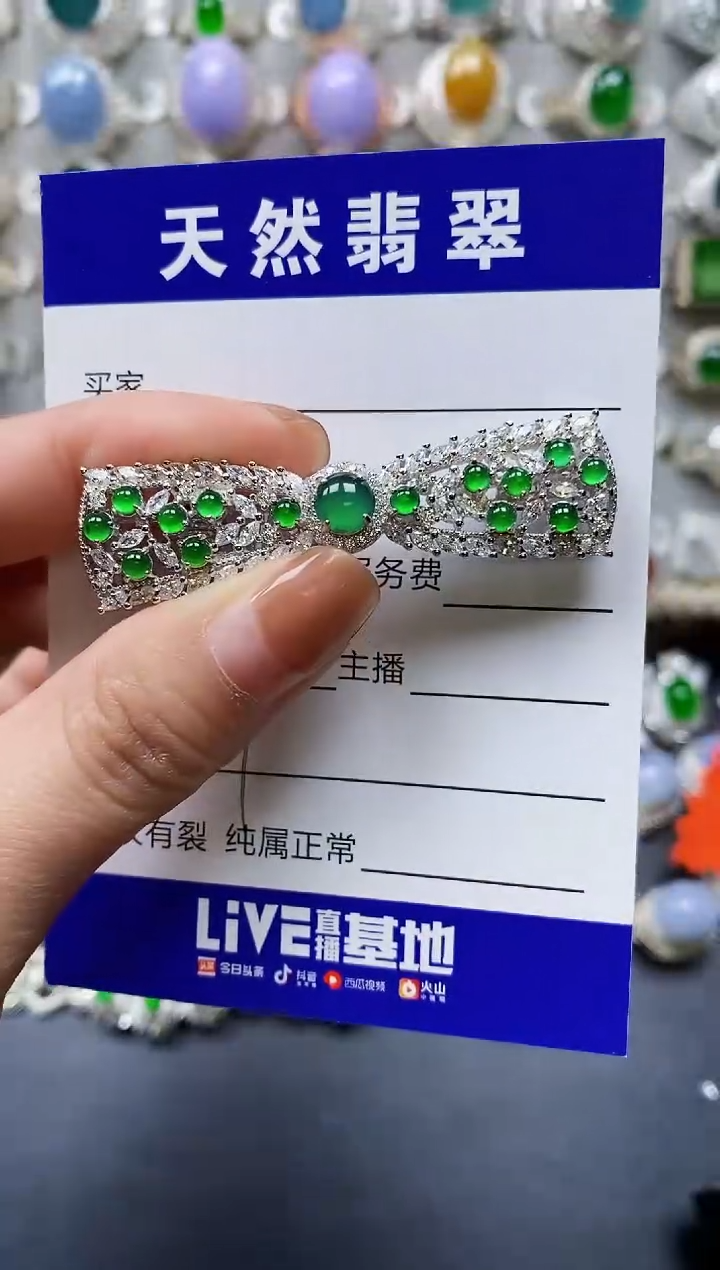 【闪购商品】翡翠颈饰银S925镶嵌0147