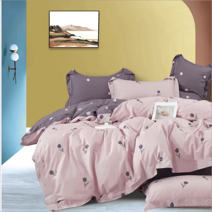 D秋冬款四件套 加厚磨毛 双（加大） 柔软保暖（董）