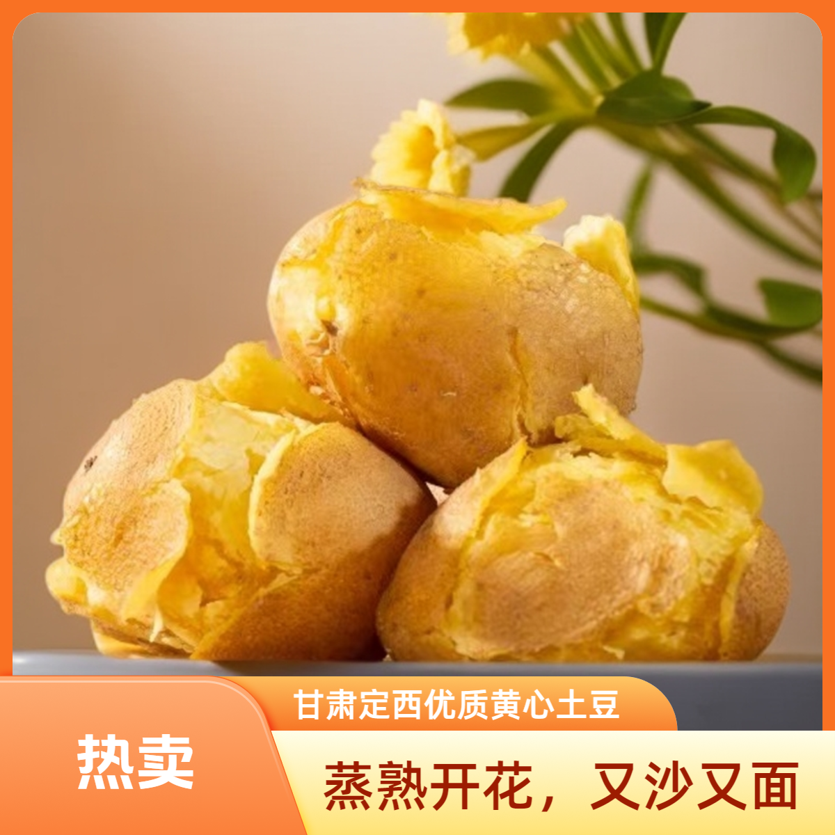 甘肃定西土豆3/5/9斤现挖黄心洋芋粉糯沙面高原旱地特产净重包邮