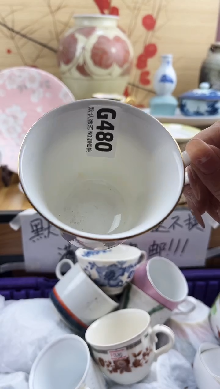 3*==============g480