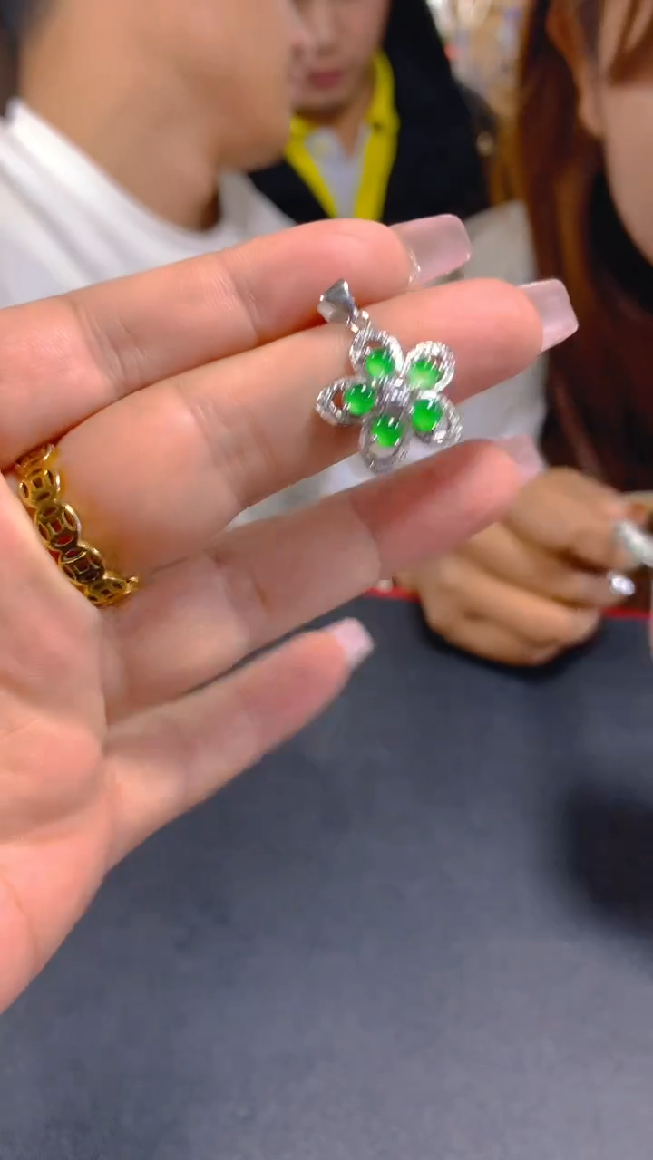 【闪购商品】翡翠吊坠(赠链)未镶嵌0212442442多样性发其一