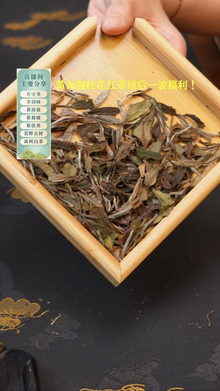 2021磻溪荒野牡丹50克