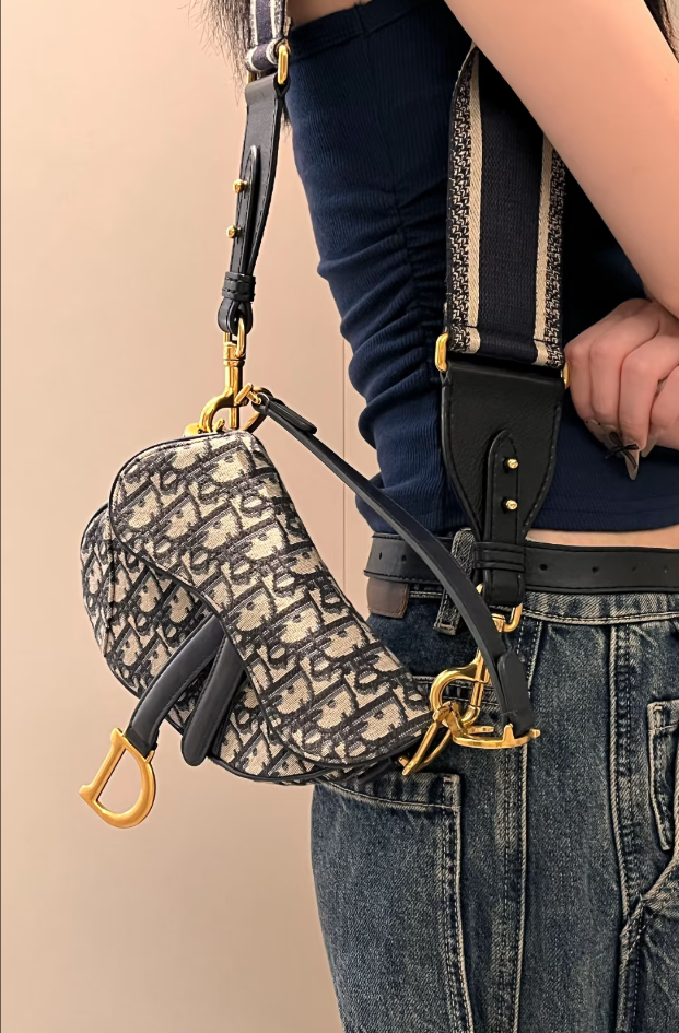 95新 DIOR/迪奥 DIOR/迪奥 老花马鞍小号斜挎包bwz