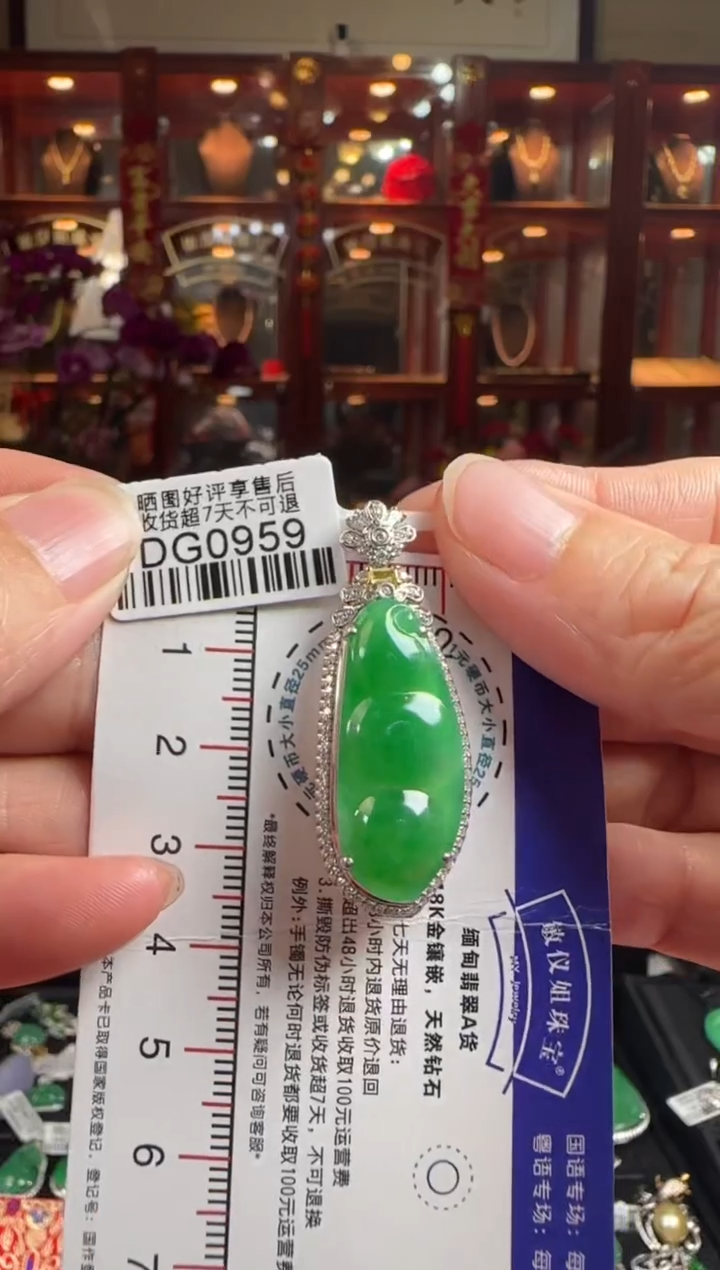 【闪购商品】翡翠颈饰18K金镶嵌/DG0959冰绿豆豆