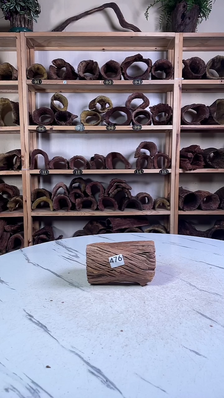 快***胖云南紫柚木造景沉木476