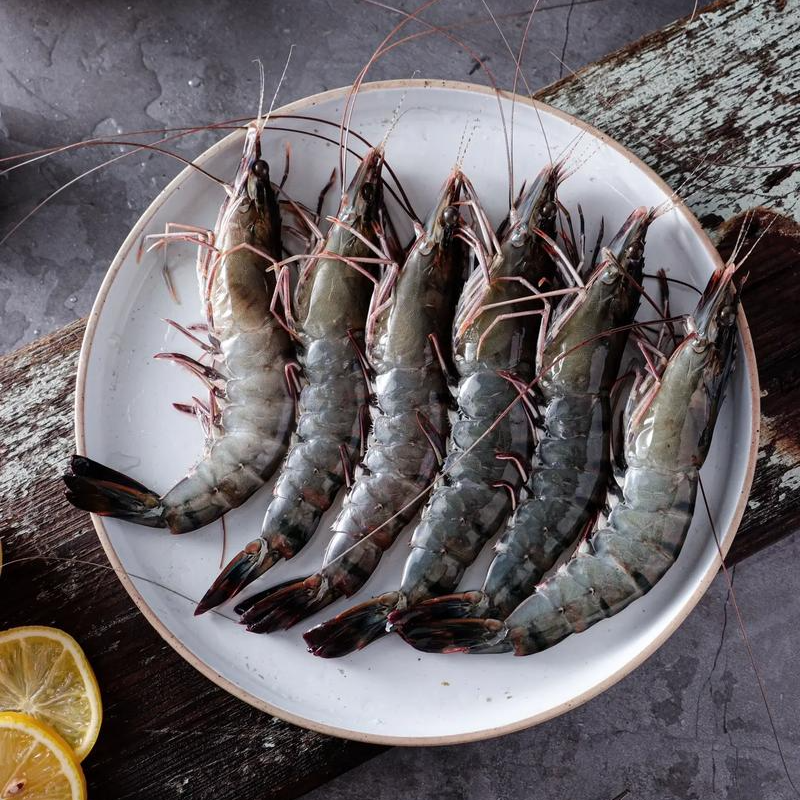 野生黑虎虾一斤（冻品）