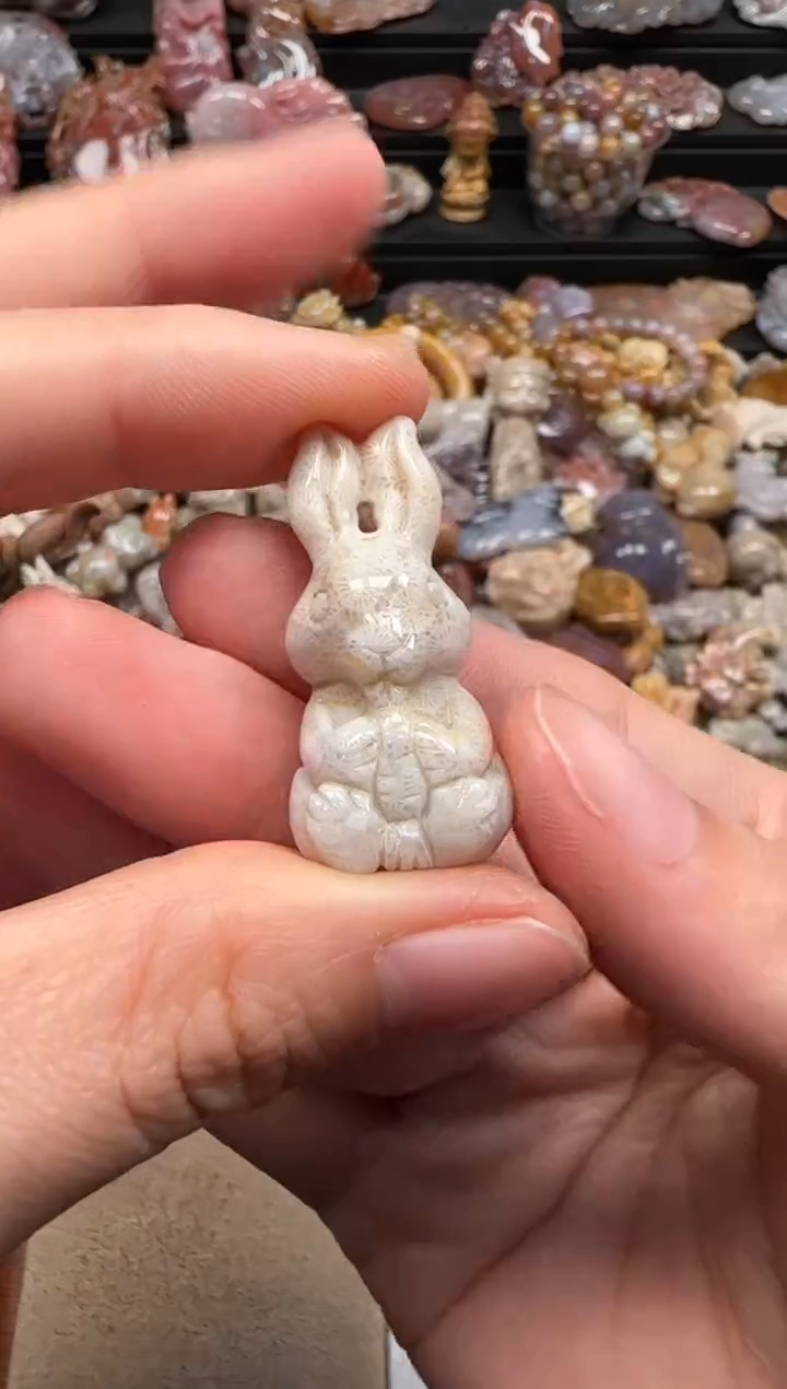 【闪购商品】硅化珊瑚（珊瑚玉）颈饰未镶嵌432