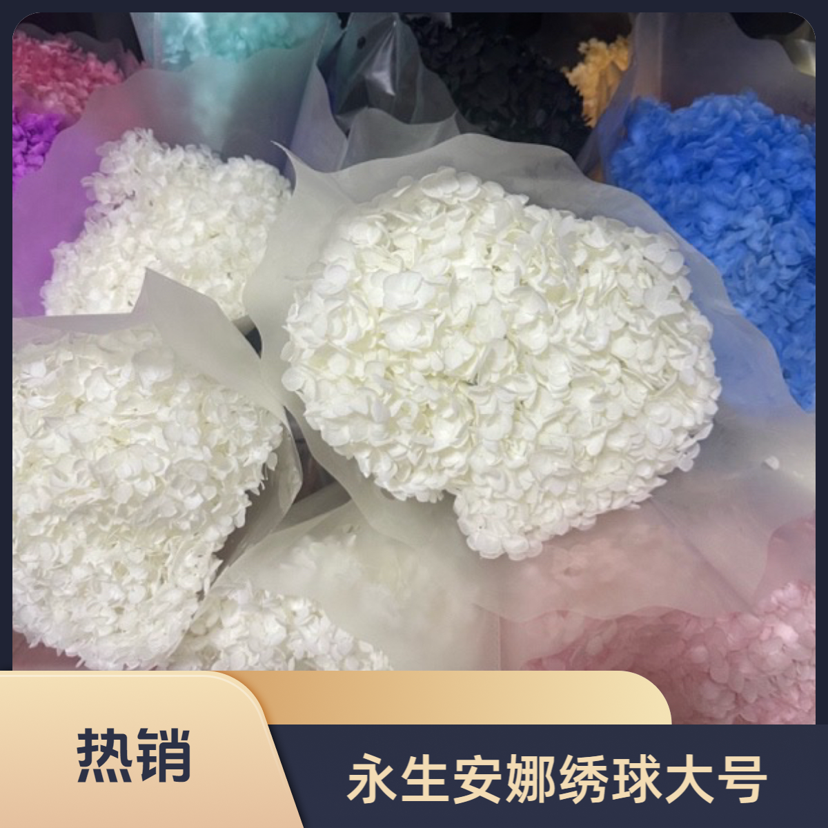a级永生绣球花头饱满手工花店diy 花艺专用 个人插花瓶做装饰慎拍
