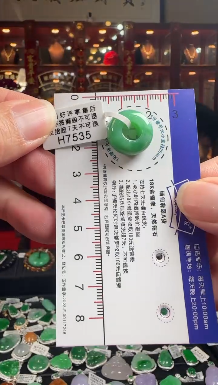 【闪购商品】翡翠颈饰未镶嵌H7535 路路通