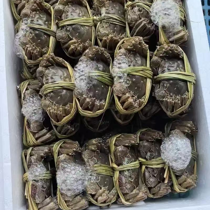 芝麻象严选固城湖蟹全腿公蟹4两母蟹3两4-20只