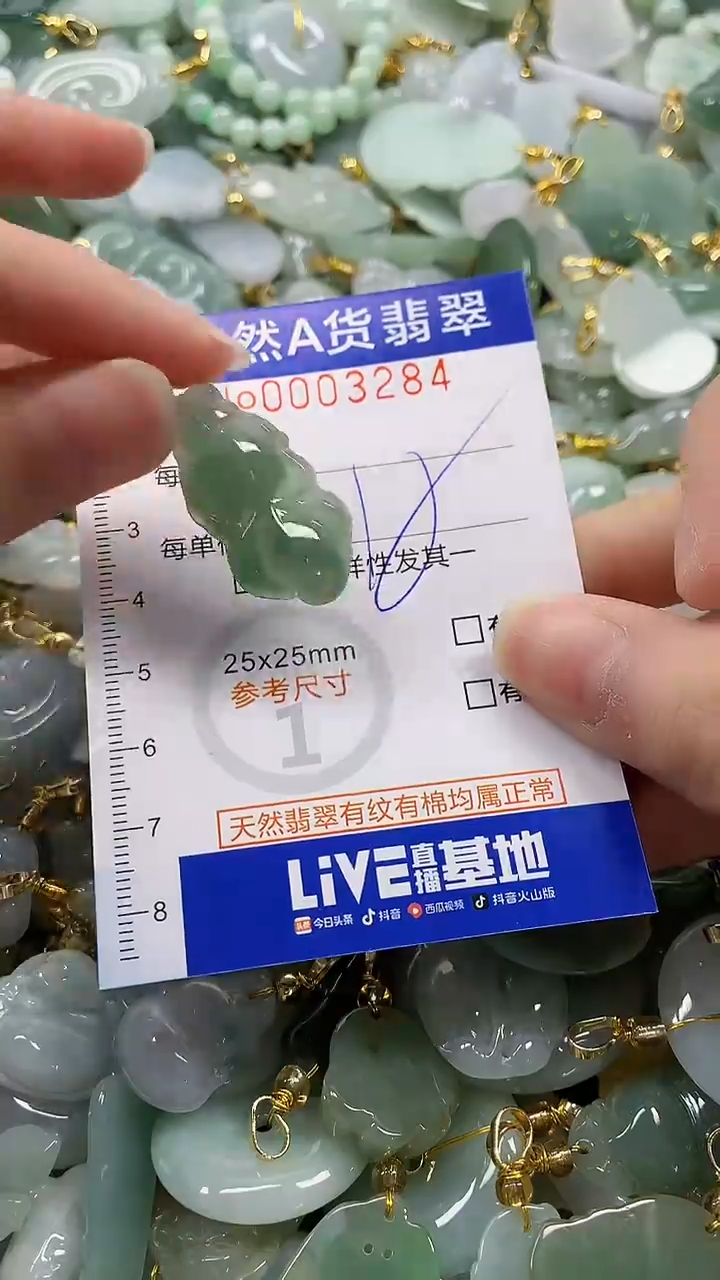颈饰未镶嵌翡翠纯天然a货翡翠