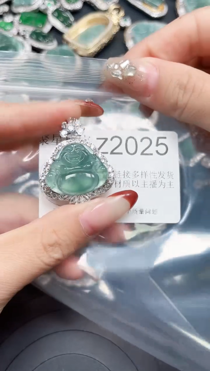 【闪购商品】翡翠颈饰未镶嵌赠皮绳2025