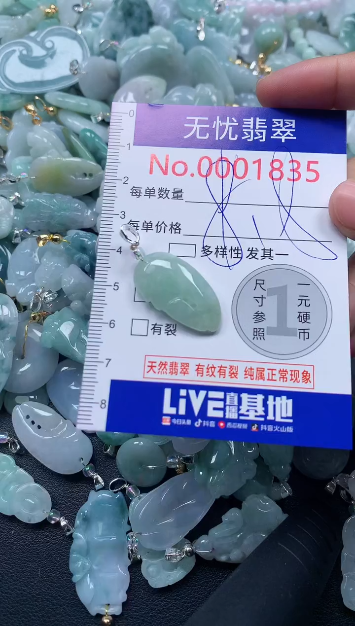 颈饰未镶嵌翡翠1835