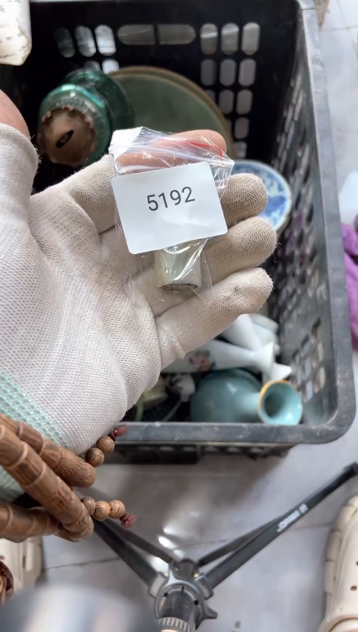 器556677882505295192