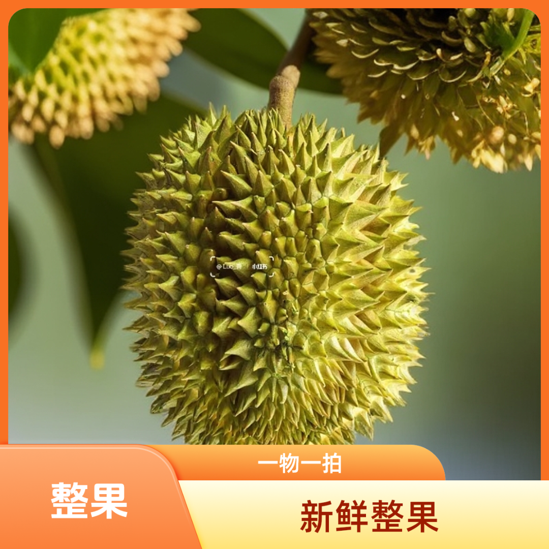 6号 整果生包死包硬包售后【泰国新鲜金枕树熟整果KG】一物一拍大核小核随机金枕泰国金枕泰国