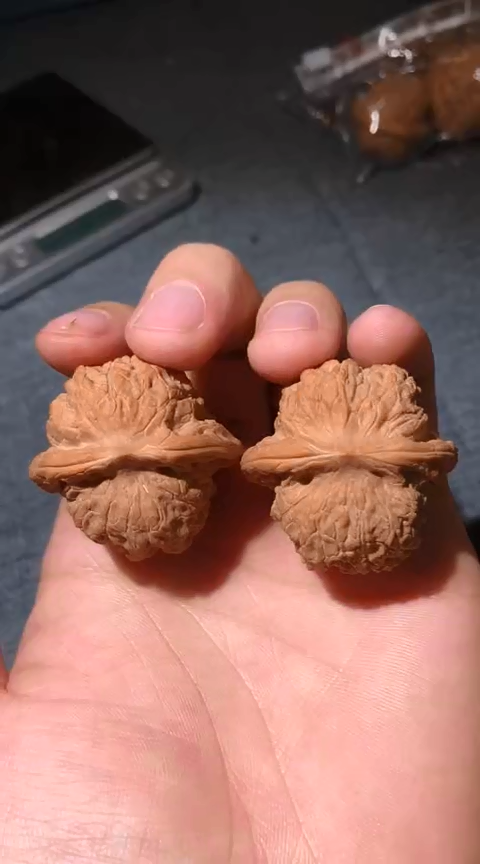 把件文玩核桃蓝****_全品血麒麟37尺