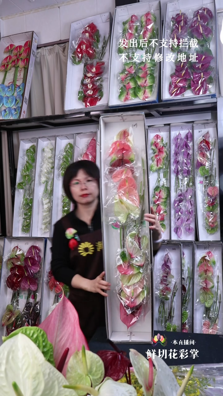 佛****室109混色16枝(长25-30cm横冠幅7-10cm)