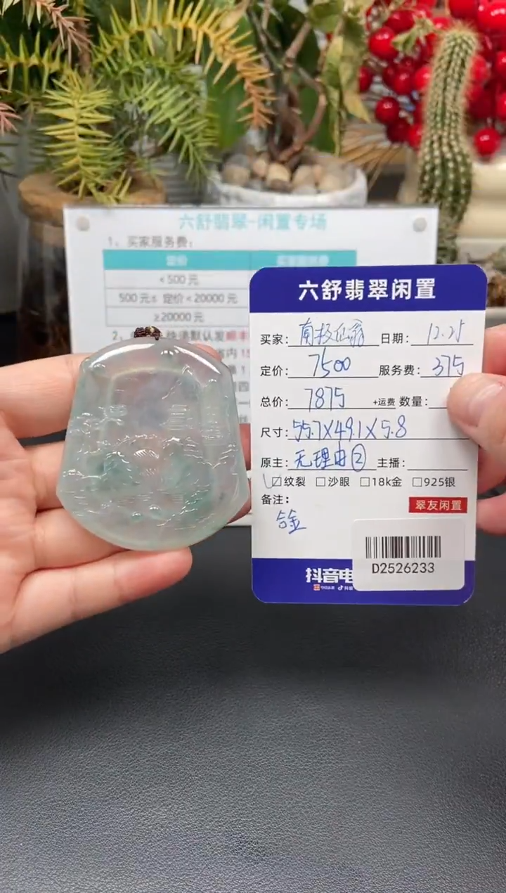 颈饰未镶嵌翡翠南**翁D2526233