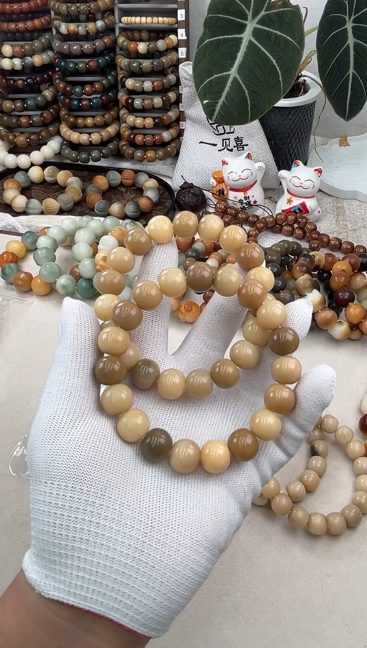 菩提根/象牙果手串a459卡14 干磨飘瑕疵