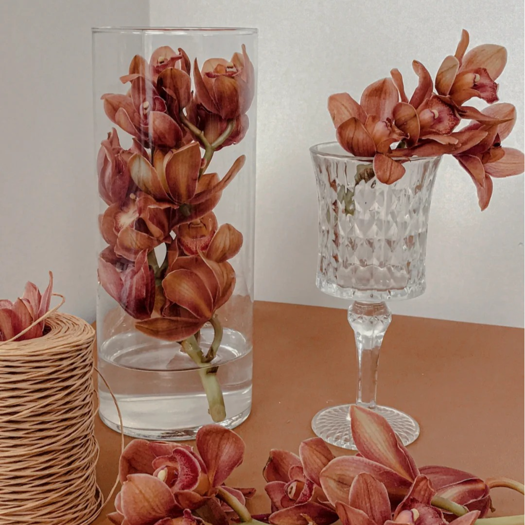 【源头优选老六】咖啡色大花蕙兰 任意2单升级快递发货不支持退款