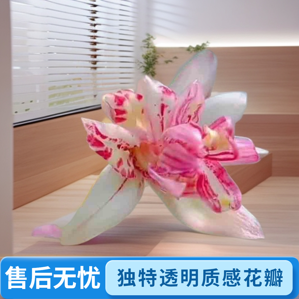 鑫雅花卉兰花建兰红蝉牡丹浓香型奇花好养室内办公室盆栽花卉